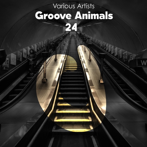 VA - Groove Animals 24 [DG399L]